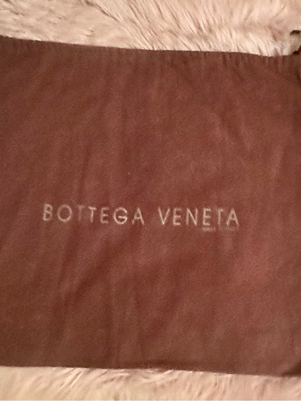 Bottega Veneta Brown Travel Dust Bag